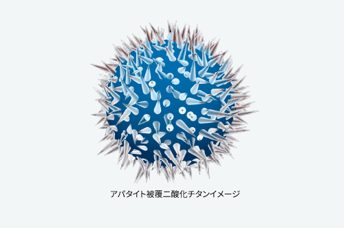 効果は24時間持続
